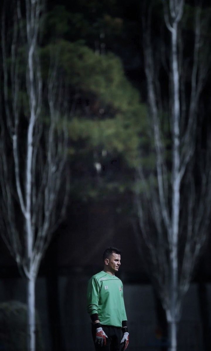 عکس های حامد لک