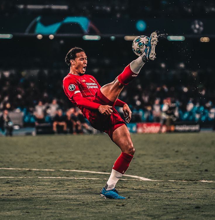 ویرجیل فن دایک سبک بازی