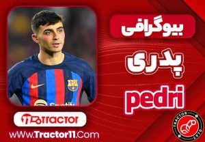 Read more about the article بیوگرافی پدری