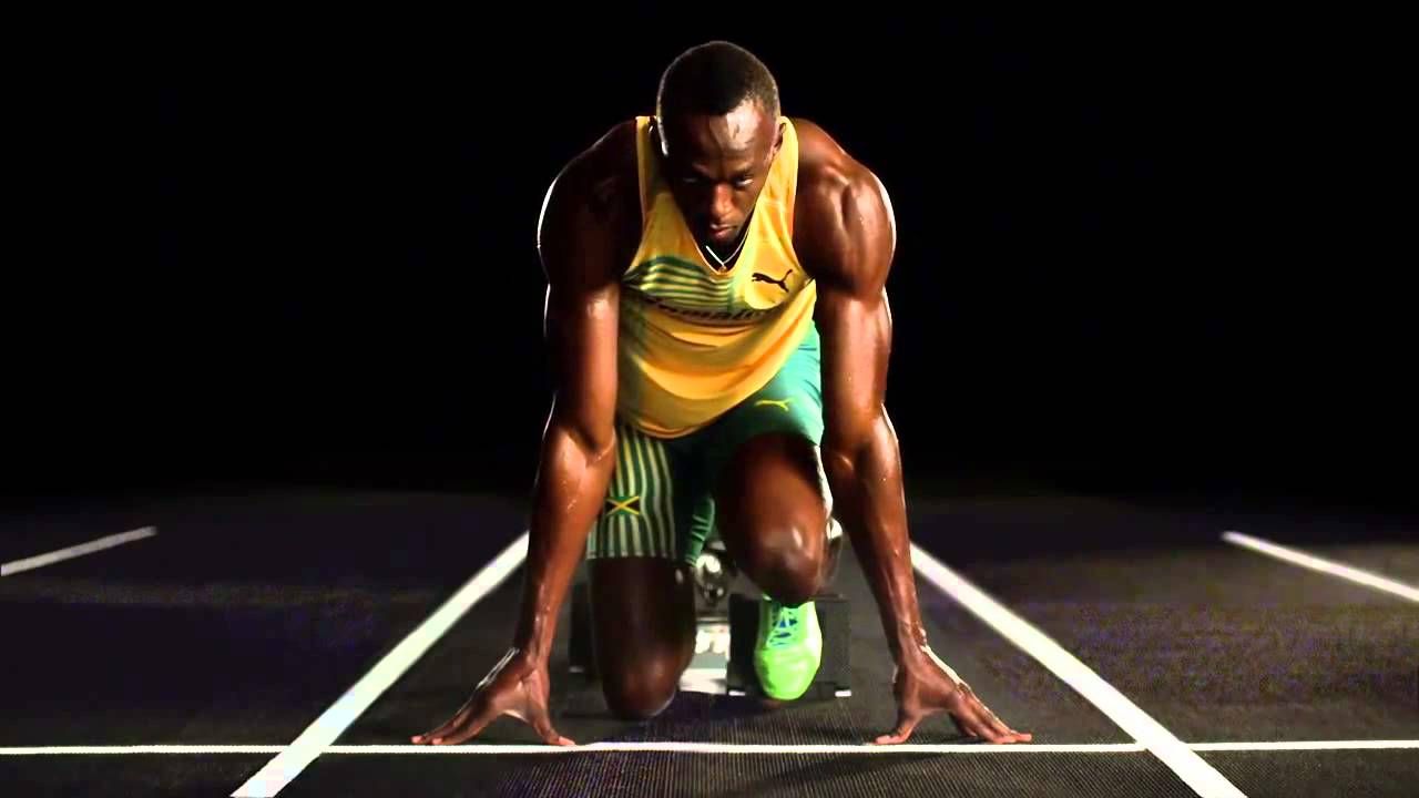 wallpaper Bolt