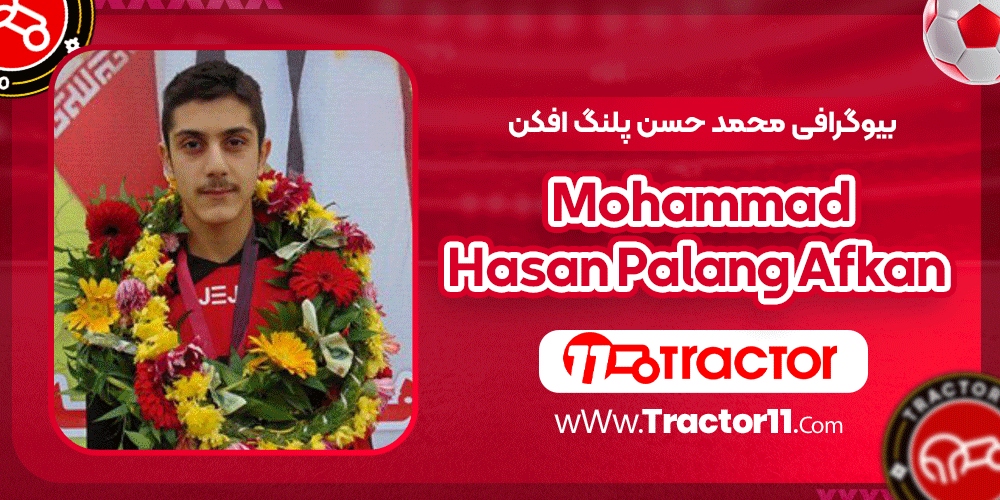 بیوگرافی محمد حسن پلنگ افکن