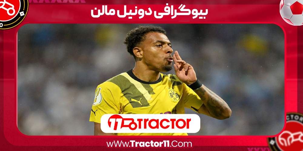 Read more about the article بیوگرافی دونیل مالن – donyell mullen