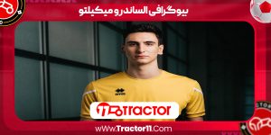 Read more about the article بیوگرافی الساندرو میکیلتو – Alessandro Michieletto