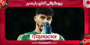Read more about the article بیوگرافی آلتای بایندیر