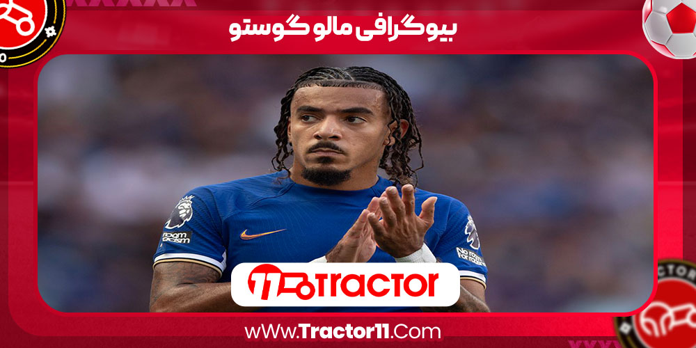 Read more about the article بیوگرافی مالو گوستو – Malo Gusto