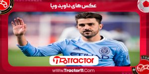 Read more about the article عکس های داوید ویا