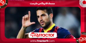 Read more about the article زندگینامه سسک فابرگاس