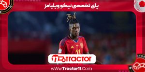 Read more about the article پای تخصصی نیکو ویلیامز