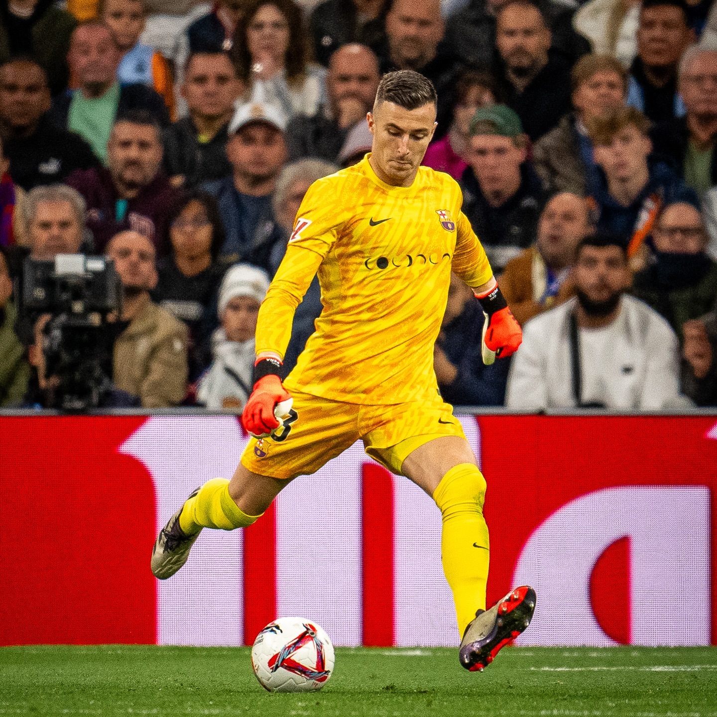 ایناکی پنیا الچه ایناکی پنیا الچه