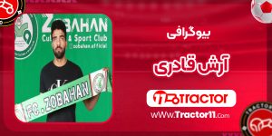 Read more about the article بیوگرافی آرش قادری